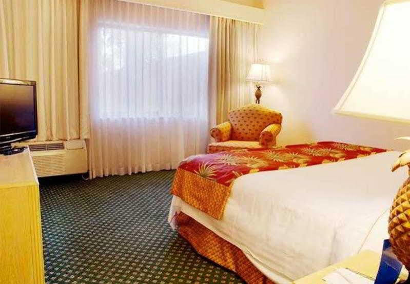 Courtyard By Marriott Fort Lauderdale Корал-Спрингс Экстерьер фото